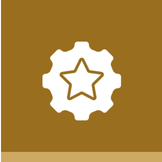 Star inside gear on brown background.